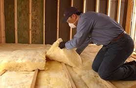 Best Wall Insulation Installation  in Rancho Alegre, TX